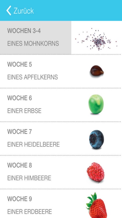 Hirslanden Hello Baby-App