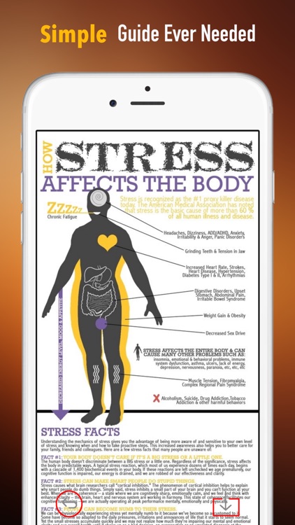About Anxiety: Solutions Guide with Tutorial Overcoming Video