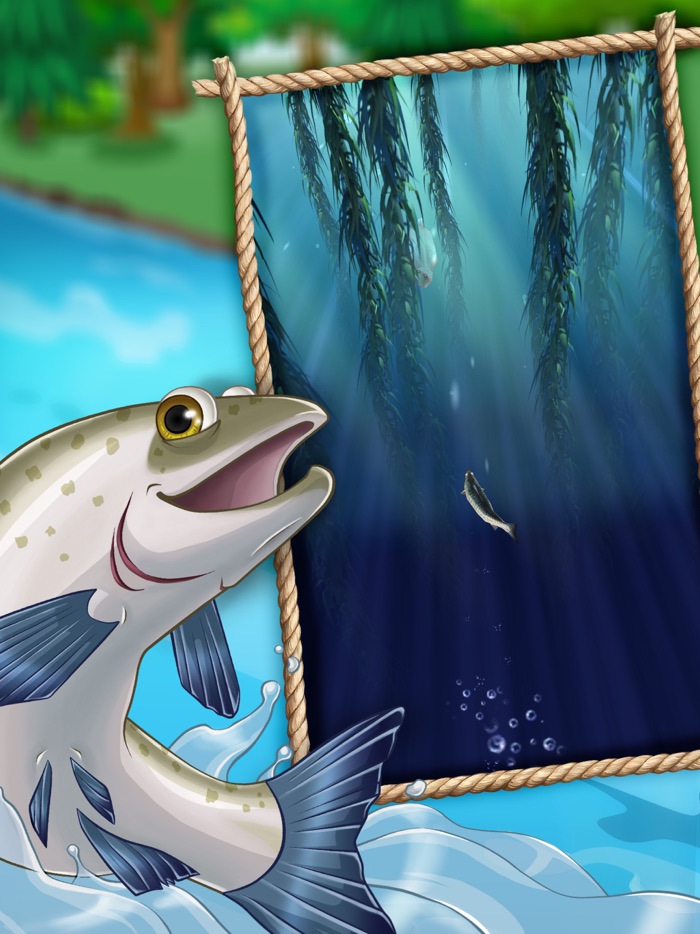 Salmon Race - Swim and win