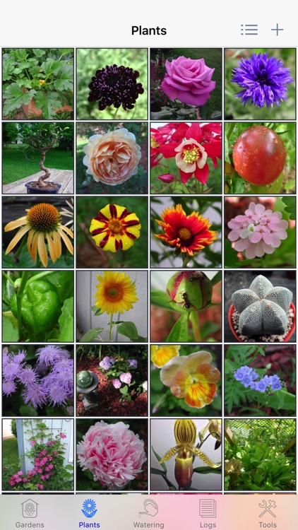 Plant Album