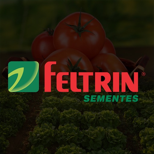 Feltrin