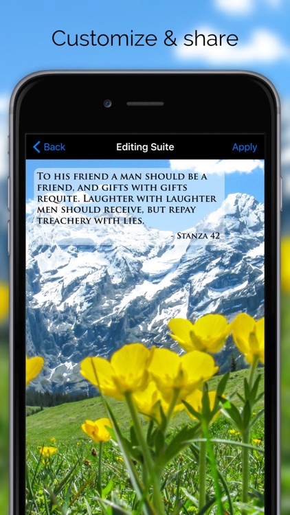 Pocket Havamal - Daily Asatru Meditations of Wisdom from Odin - Thorpe Translation screenshot-4
