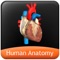 Human Anatomy Explorer app is a quick reference app that contains information about the ten different biological systems present in the human body in a visual and engaging manner