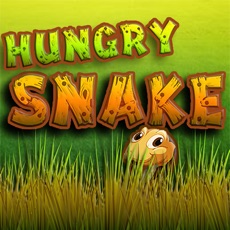 Activities of Hungry Snake 2