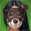Cute Puppy Face Changer – Animal Head Photo Editor with Funny Dog & Cat Sticker.s