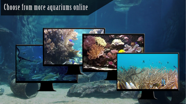 Ocean Aquarium HD(圖3)-速報App