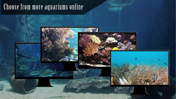 Ocean Aquarium HD