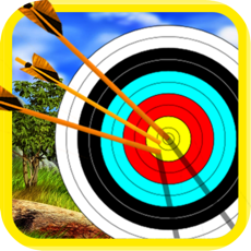 Activities of Archery Champion 3D