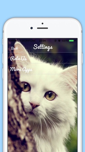 Funny Cat Sounds - Cat Music, Meow Sounds, Kitten Sounds, An(圖5)-速報App