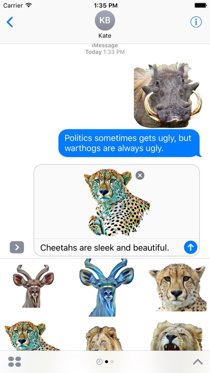 African Wild Animal Stickers