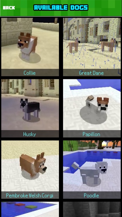 DOG MOD FREE - Pet Dogs Mods Guide for Minecraft Game PC Edition screenshot-3