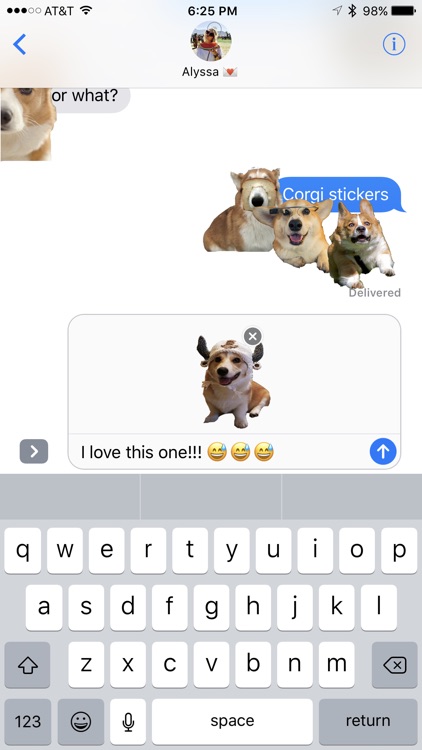 Corky Corgi