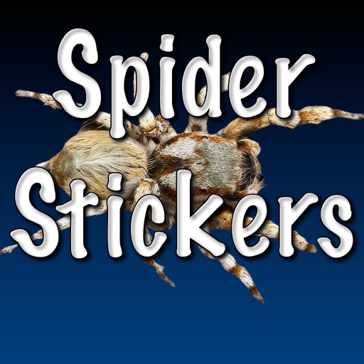 Spider Stickers icon