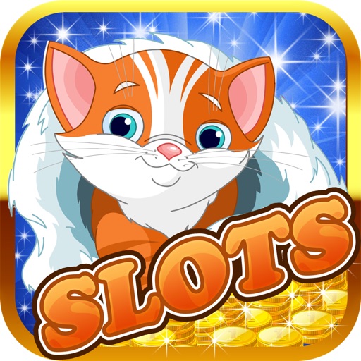 Miss Cute Kitty Slots Machine - Glitter and Pretty Cool Casino Cats of Vegas Icon