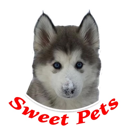 Sweet Pets icon