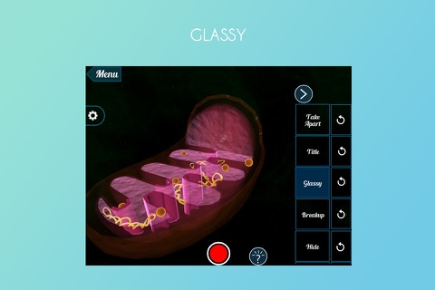 Mitochondrion 3D screenshot 3