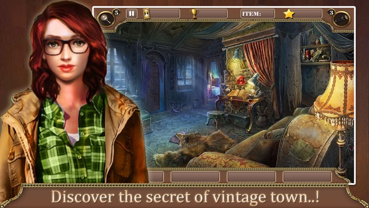 Hidden Object : Vintage Treasures Mystery Pro