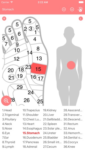 Reflexology Chart (Foot & Hand)(圖2)-速報App