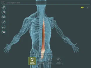 Screenshot 4 Visual Anatomy 3D | Human iphone