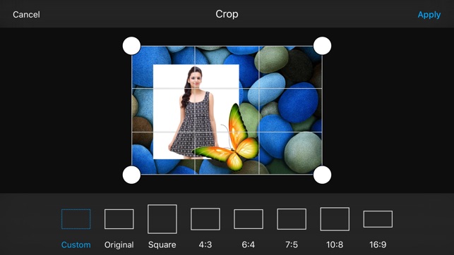 Butterfly Photo Frames & Photo Editor(圖4)-速報App