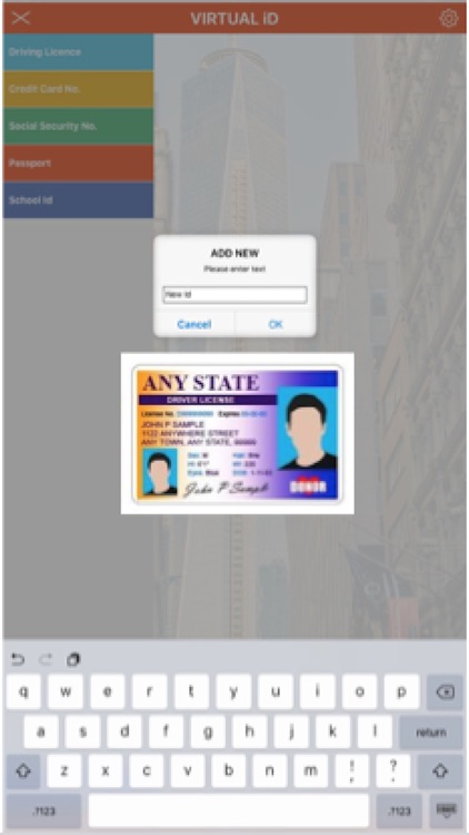 Virtual ID screenshot-2