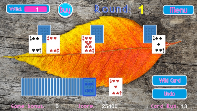 Holiday Solitaire - Enjoy A Card Game screenshot-4