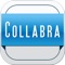 As a scalable, all-inclusive solution, Collabraprovides one of a kind business management platform for modern consulting firms and internal productivity teams that are engaged ininfrastructure support, software developmentor business process automation projects