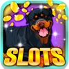 Cute Puppy Slots: Guaranteed fluffy rewards for the most fortunate gambling master