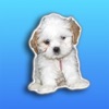 Pupoji - シンプルかわいい顔文字アプリ - LINE - emojiアート - Emojis