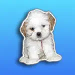 Pupoji - Cute Dog Emoji Keyboard Puppy Face Emojis App Contact