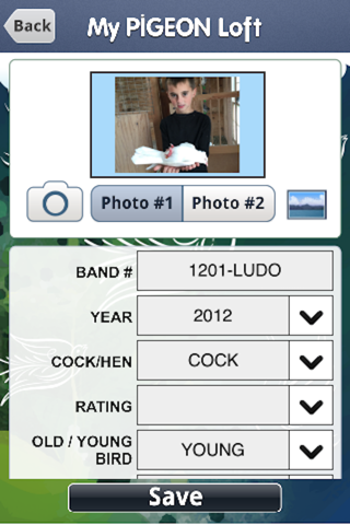 My Pigeon Loft Cloud Edition screenshot 3