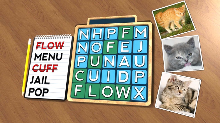 Wordsearch Revealer Kittens