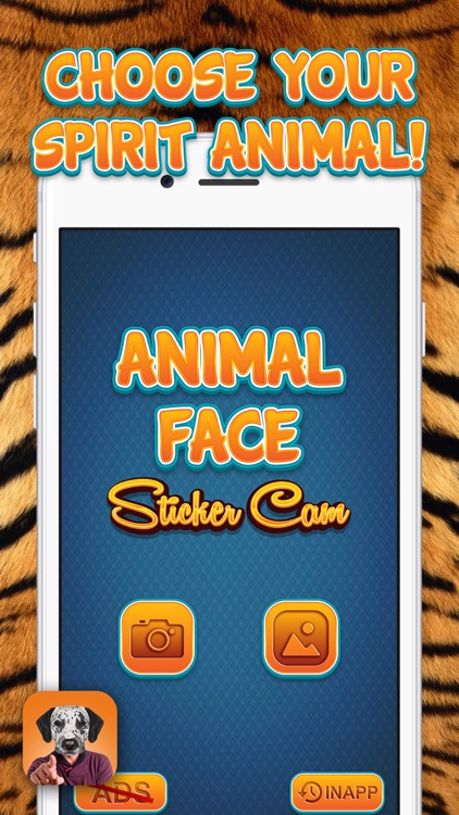 Animal Face Sticker Cam