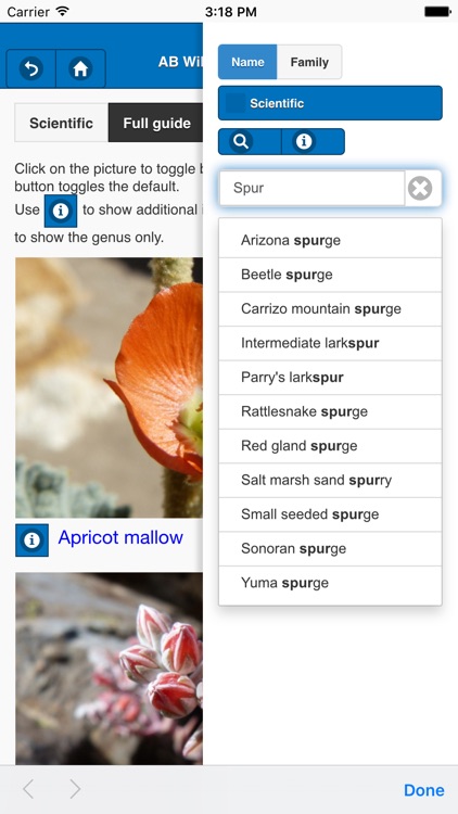 Anza-Borrego Wildflower Guide screenshot-4