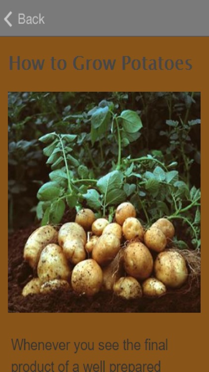 How To Grow Potatoes