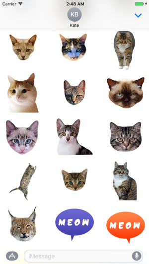 對於貓的iMessage貼紙：Cat Stickers for iMessage(圖4)-速報App