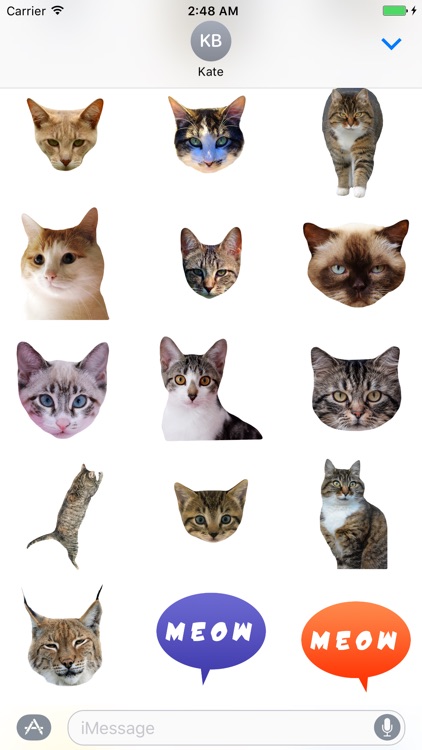 Cat Stickers for iMessage : Cats & Cat Heads screenshot-3
