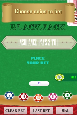 Blackjack The Casino - Basic & Pro Player screenshot 4