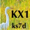 KX1 Micro Manual is a handy reference to assist new and experienced owners of the Elecraft KX1 in operation of their radios in the field