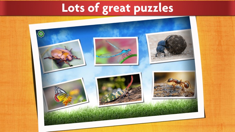 Insect puzzles - Relaxing photo picture jigsaw puzzles for kids and adults