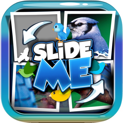 Slide Me Bird Quiz Free icon