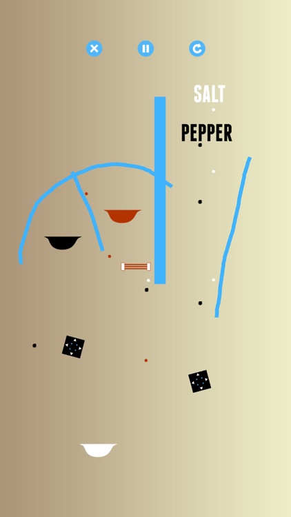 Salt & Pepper: A Physics Game