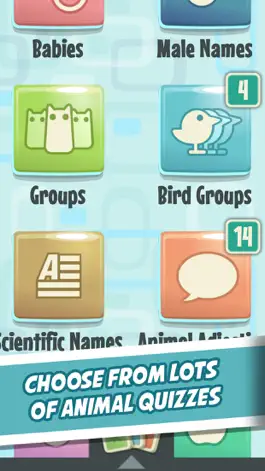 Game screenshot Quiz Owl's - Animal Trivia hack