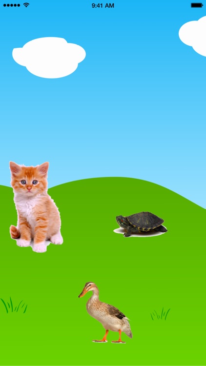 Toddler Food Game screenshot-4