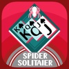 Anytime SpiderSolitaire