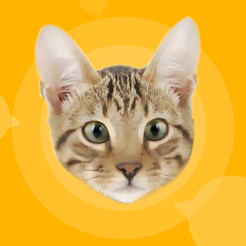 Human To Cat Translator Berbicara Dengan Kucing Di App Store