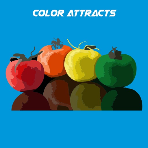 Color Attracts icon