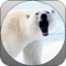 Deadly Wild Polar Bear Attack Simulator Pro