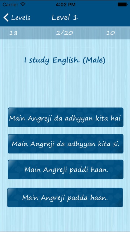 Learn Punjabi Quickly - Phrases, Quiz, Flash Card screenshot-3