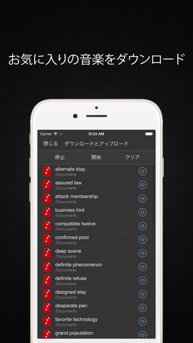 Evermusic Pro - オフライン音楽 screenshot1